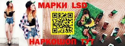 стафф Будённовск