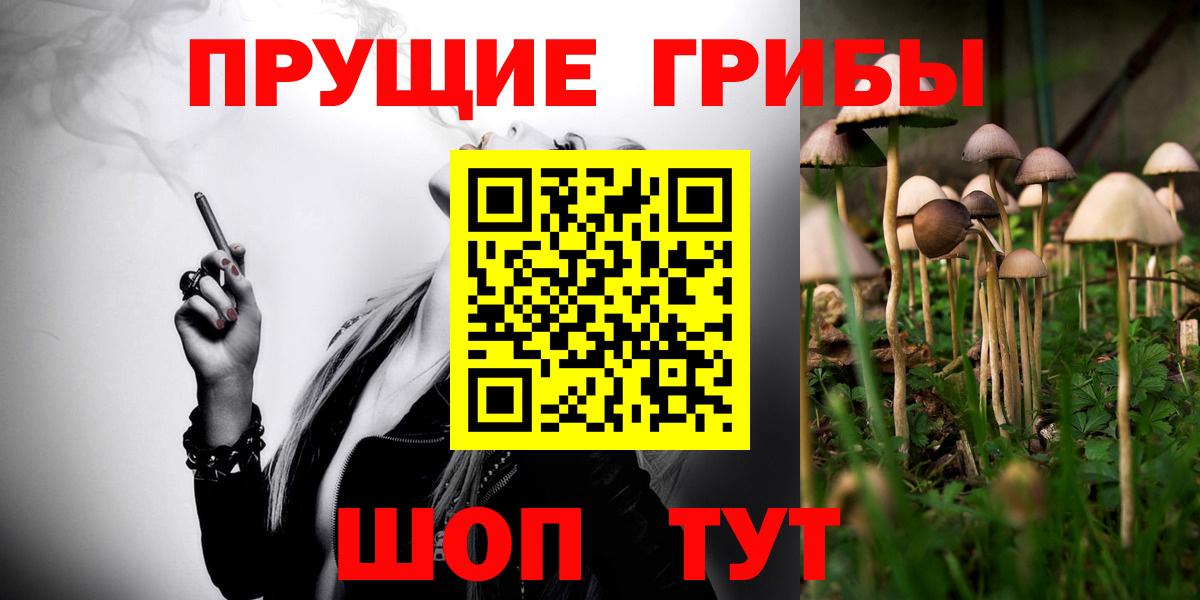 Псилоцибиновые грибы Magic Shrooms Кувандык